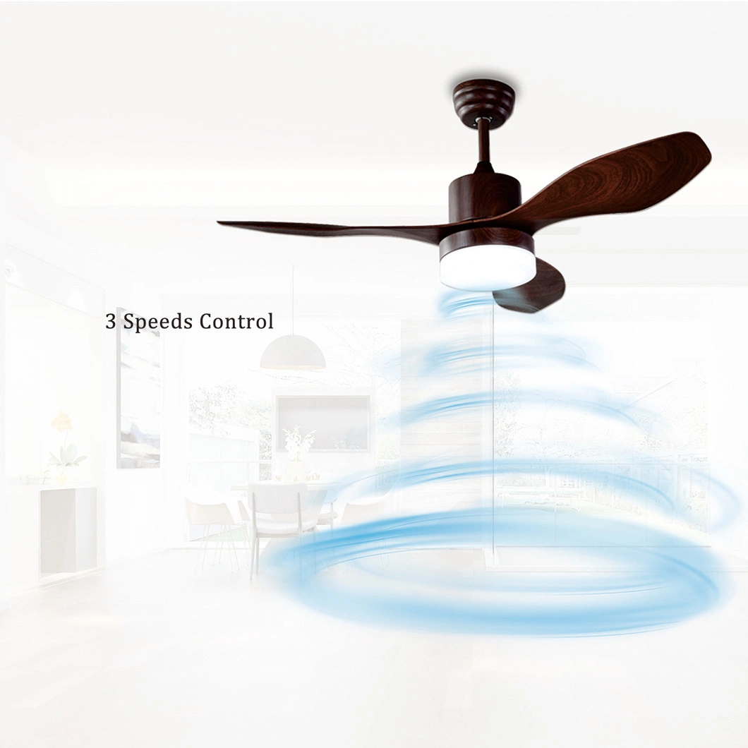 Factory Sale 48 Inch Modern Decorative LED Electric Ceiling Fan with Fancy Light